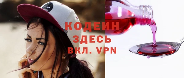 индика Горнозаводск