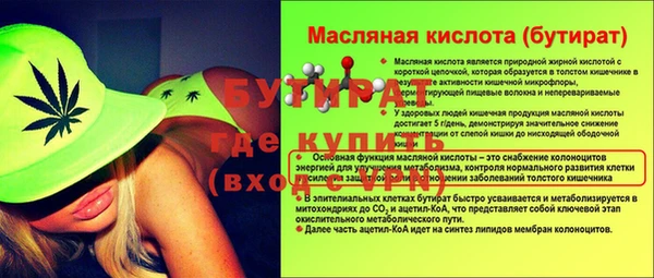 индика Горнозаводск