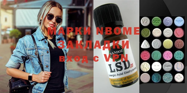 индика Горнозаводск