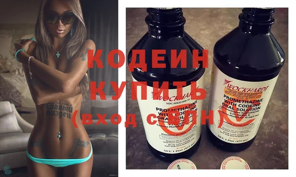 индика Горнозаводск