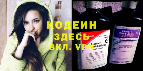 индика Горнозаводск