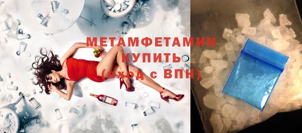 индика Горнозаводск