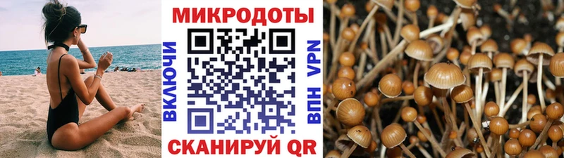 Псилоцибиновые грибы ЛСД  Заинск 
